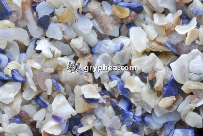 Sable coquillier - Plage de Lion sur Mer (Calvados) x3 - gryphea.com